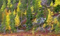 Autumn in rocky mountains in Northern Finland.