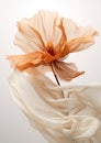 Autumn romance, vintage flower made of silk fabric develops in the wind, muted beige tones on a white background