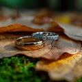 Autumn romance wedding ring placed amid dry, rustic leaves