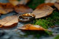 Autumn romance wedding ring placed amid dry, rustic leaves