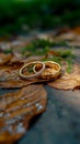 Autumn romance wedding ring placed amid dry, rustic leaves