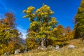 Autumn in Romania, in Buila Vanturarita National Park