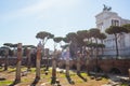 Autumn in Rome Colosseum Italy Royalty Free Stock Photo