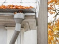 Autumn. roof of a building with fallen yellow maple leaves and gray sewer