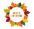 Autumn round frame with fallen leaves of vibrant colors, editable circle sale banner or postcard on white background Royalty Free Stock Photo