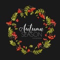 Autumn Rowan Berry Background. Floral Banner Design in Vector.
