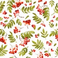 Autumn Rowan Berry Seamless Background. Floral Fall Pattern with Leaves and Berries