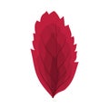 Autumn Rowan Leaf Royalty Free Stock Photo