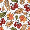 AUTUMN ROWAN MAPLE OAK LEAVES Fall Nature Seamless Pattern Royalty Free Stock Photo