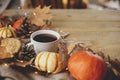 Autumn rural banner. Warm cup of tea, pumpkins, fall leaves, cozy scarf on rustic wooden table with space for text. Hygge autumn. Royalty Free Stock Photo