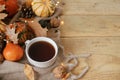 Autumn rural banner. Warm cup of tea, pumpkins, fall leaves, cozy scarf on rustic wooden table with space for text. Hygge autumn. Royalty Free Stock Photo