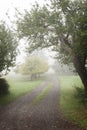 Autumn Rural Driveway Royalty Free Stock Photo