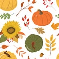 Autumn rural harvest seamless pattern with pumpkins, leaves, berries