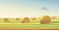 Autumn rural landscape. Royalty Free Stock Photo