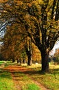 Autumn rural landscape. Czech republic Royalty Free Stock Photo