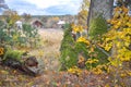 Autumn rural landscape with fence, field, forest and house Royalty Free Stock Photo