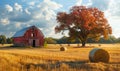 Autumn rural landscape with golden field and red barn. Beautiful trees and haystacks on the field. Royalty Free Stock Photo