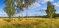 autumn rural landscape panorama, field, forest, blue sky and white clouds.