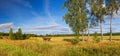 autumn rural landscape panorama, field, forest, blue sky and white clouds Royalty Free Stock Photo