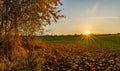 Autumn rural landscape at sunset Royalty Free Stock Photo