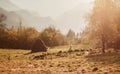 Autumn rural landscape at sunset Royalty Free Stock Photo