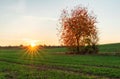 Autumn rural landscape at sunset Royalty Free Stock Photo