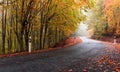 Autumn rural road