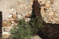 Detail of stonework in abandoned residence