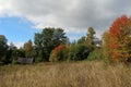 Autumn in Russian village, Yaroslavl Region.