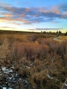 Autumn rustic colored foliage on the path in Wyoming in the sunset