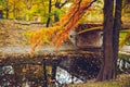 Autumn rustic forest landscape. park with river Royalty Free Stock Photo