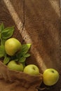 Autumn rustic harvest border with apples. Thanksgiving day concept