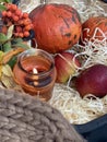 Autumn rustic still life: fruits, vegetables, candle and cup of tea: pumpkin, candle, wood Royalty Free Stock Photo