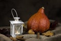 Autumn rustic still life with pumpkin, white lantern and dried l