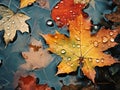 Autumn\'s Delight: A Colorful Canopy of Fallen Leaves and Glisten