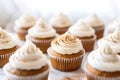 Autumn's Delight: Traditional Pumpkin Cupcakes