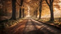 Autumn\'s Embrace: Enchanting Fall Roadway