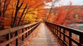 Autumn\'s Embrace: Enchanting Wooden Path Amidst Fall\'s Glory