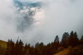 Autumn's Whisper: A Serene Alpine Forest Edging into the Mountain Mist Royalty Free Stock Photo