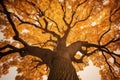 Autumn\'s Whispers: Tree of Life Represented by a Mesmerizing Autumn Tree. Generative AI