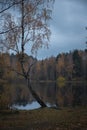 Autumn sad rain in the forest by the lake in the evening. colorful trees are reflected in the water Royalty Free Stock Photo