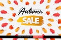 Autumn Sale background, banner, poster or flyer design. Vector illustration with bright beautiful leaves and lettering word Autumn Royalty Free Stock Photo