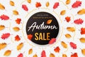 Autumn Sale background, banner, poster or flyer design. Vector illustration with frame made of bright beautiful leaves Royalty Free Stock Photo