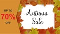 Autumn sale background decor with autumn maple leaves and frame