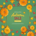 Autumn sale background. Discount, sale in autumn. Banner flyer in a rectangular frame with pumpkin, leaves on a green table. Royalty Free Stock Photo