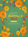 Autumn sale background. Discount, sale in autumn. Vertical banner flyer in a rectangular frame with pumpkin, leaves Royalty Free Stock Photo