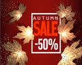 Autumn SALE background with falling gold maple leaves. Royalty Free Stock Photo