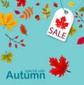 Autumn Sale Background with Falling Autumn Leaves