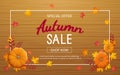 Autumn sale background. Horizontal banner flyer in a rectangular frame with pumpkin, leaves on a wooden table. Special seasonal Royalty Free Stock Photo