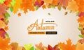 Autumn sale background layout. Autun sale Decoration with leaves border for greeting card or cover. Vector illustration Royalty Free Stock Photo